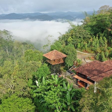 Spice Forest Plantation Homestay, Thekkady Vandiperiyār Zewnętrze zdjęcie