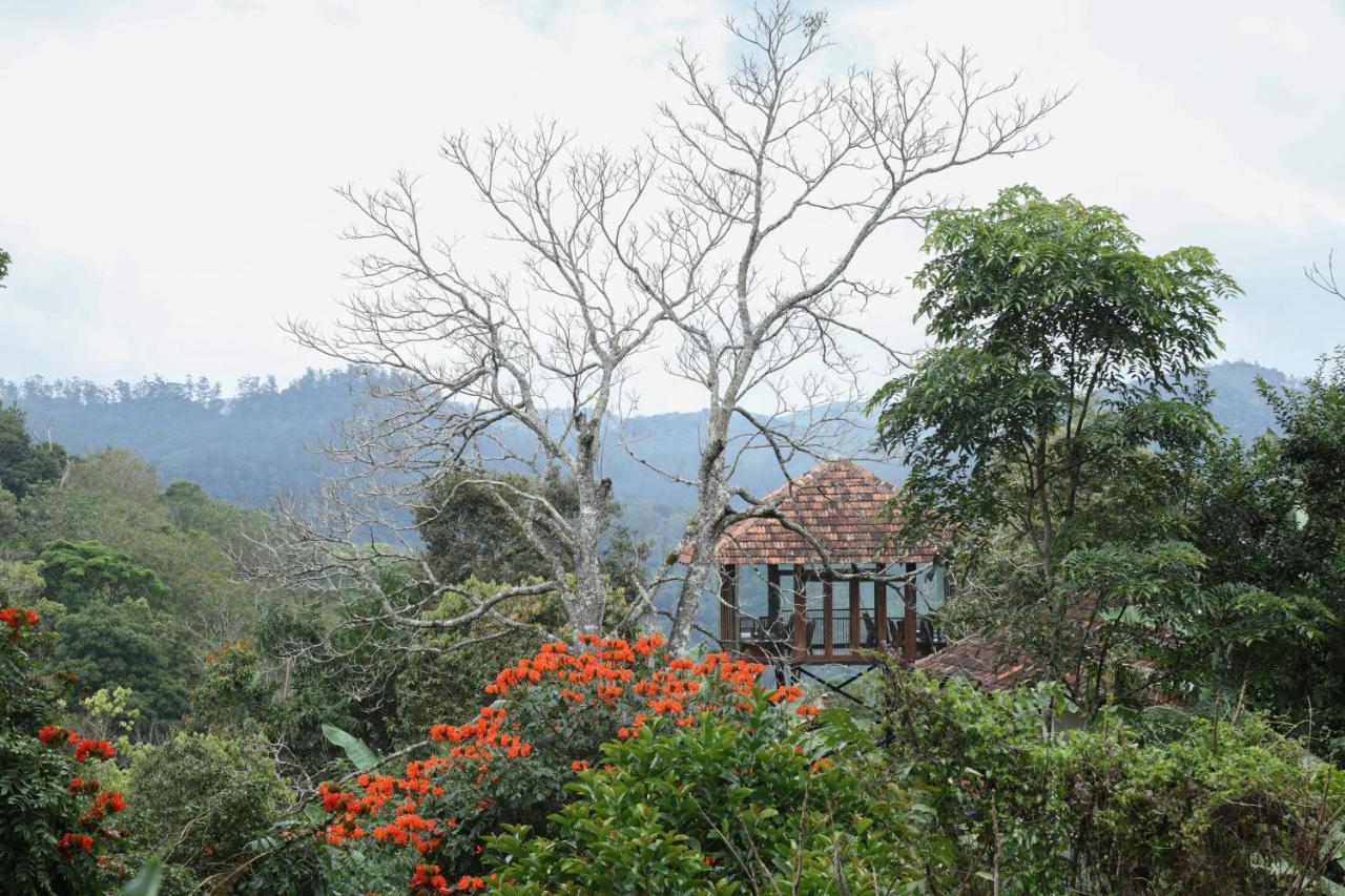 Spice Forest Plantation Homestay, Thekkady Vandiperiyār Zewnętrze zdjęcie