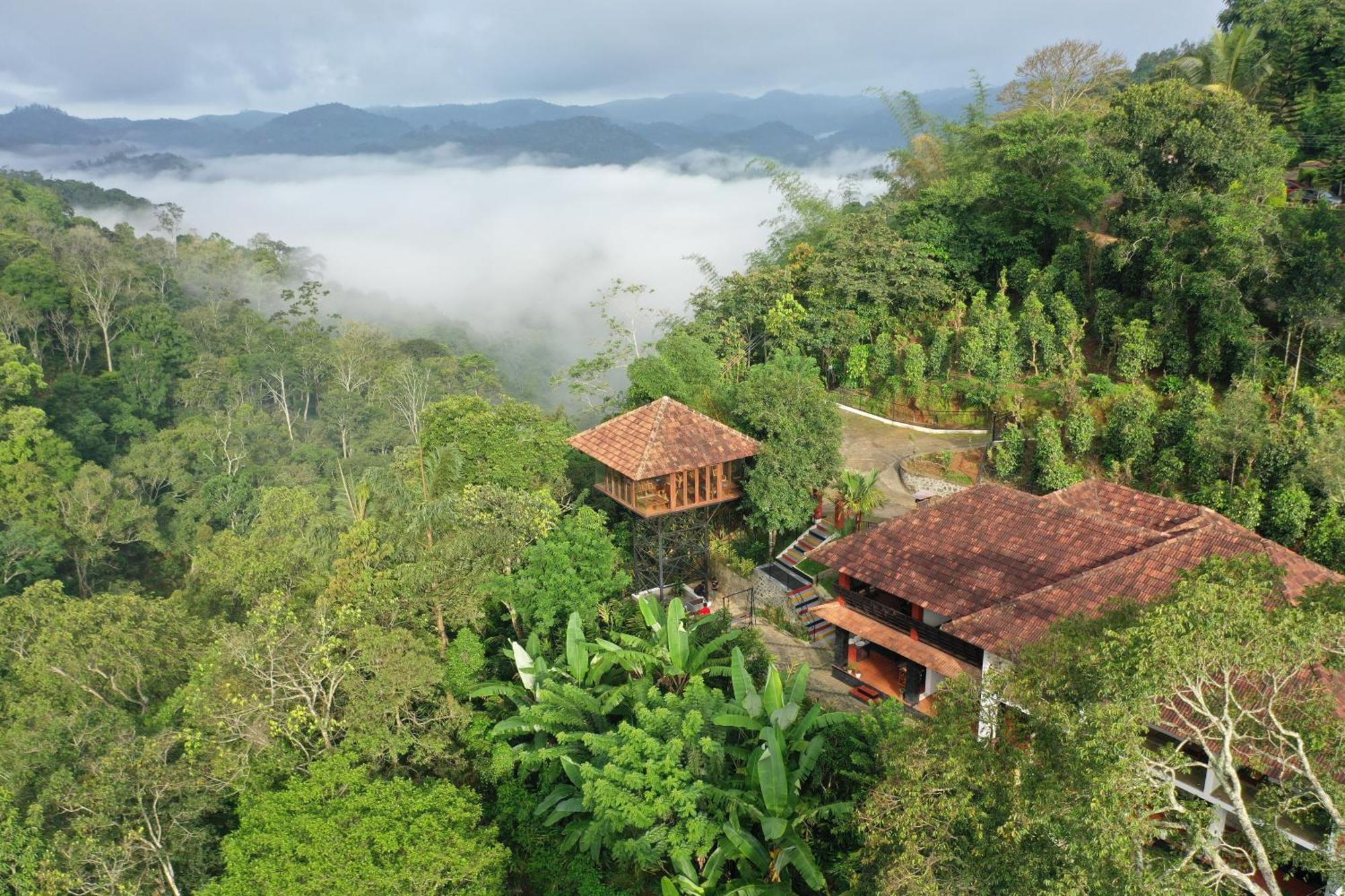 Spice Forest Plantation Homestay, Thekkady Vandiperiyār Zewnętrze zdjęcie