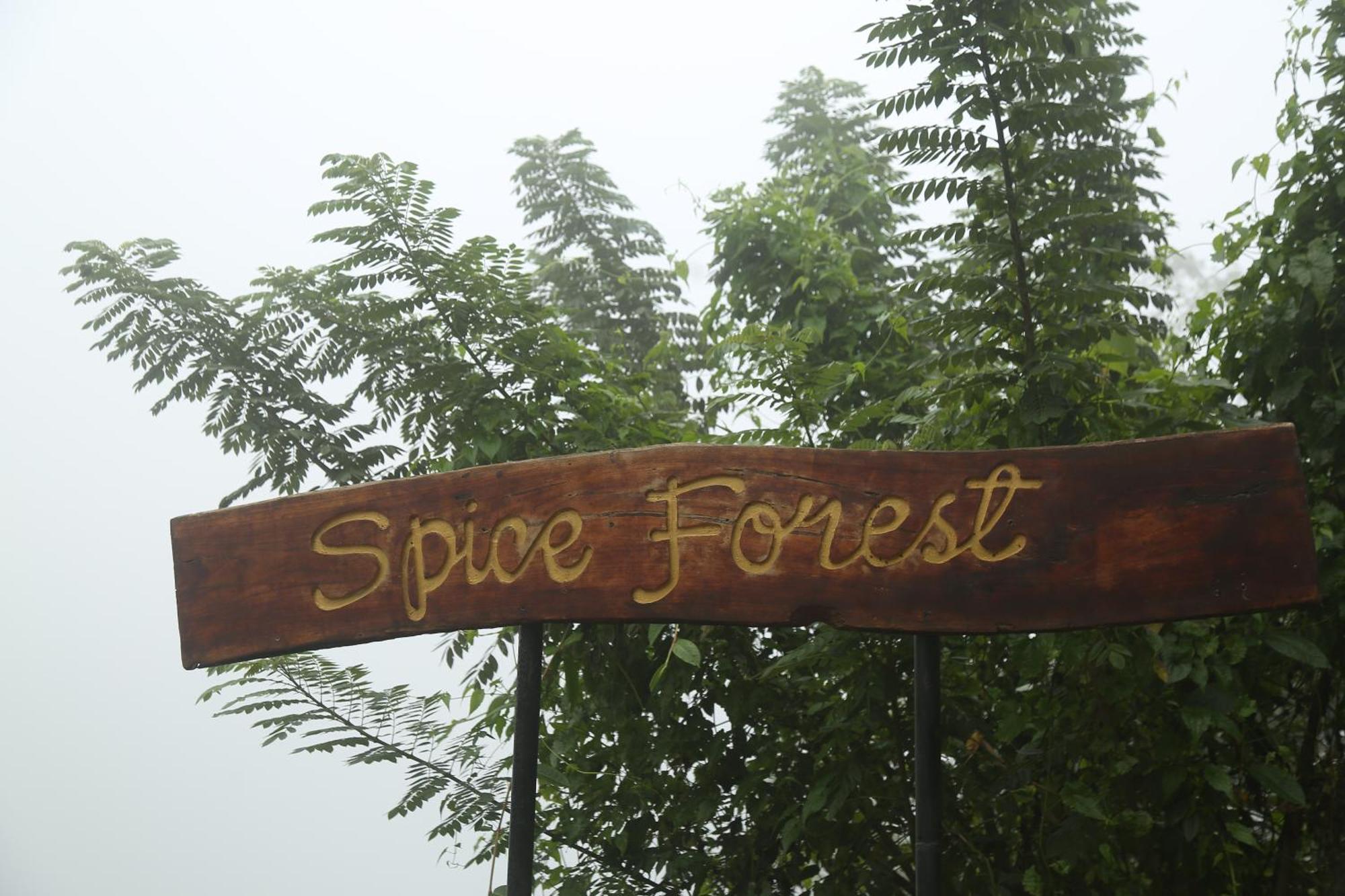 Spice Forest Plantation Homestay, Thekkady Vandiperiyār Zewnętrze zdjęcie